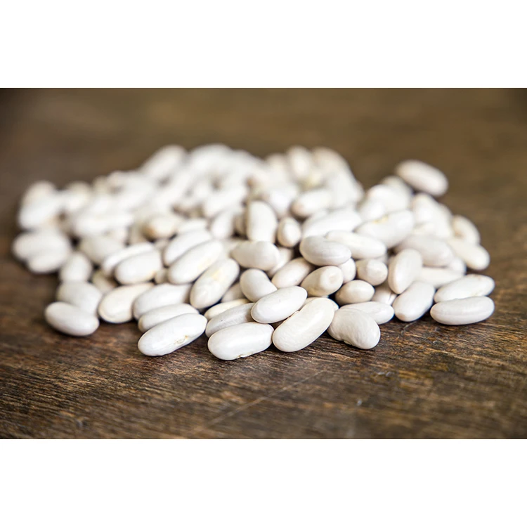Egyptian Dried Phaseolus Vulgaris for Pregnant Women