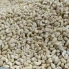 /product-detail/certified-quality-well-cleaned-cashew-nut-w240-w320-w450-for-all-importers-50043558453.html