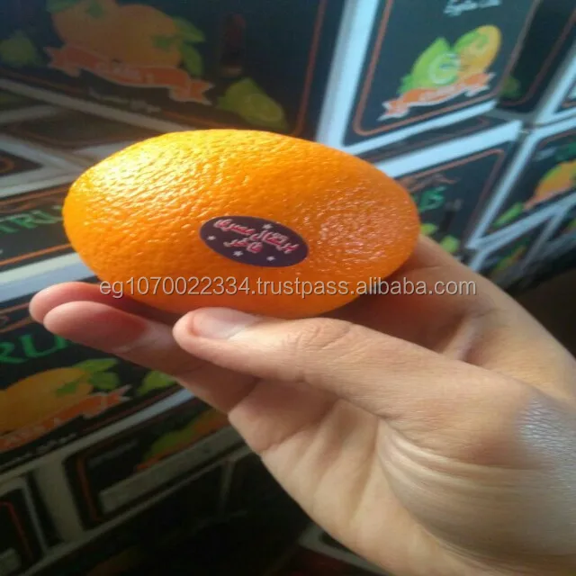 fresh oranges/fresh fruit /fresh oranges citrus sweet mandarin