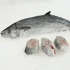 /product-detail/frozen-horse-mackerel-fish-herring-fish-50042132161.html