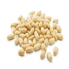 Red peanut,blanched peanut kernels,Bold Peanuts Blanched Peanuts Java Peanuts Raw Peanuts Kernel / Raw Peanut in Shell
