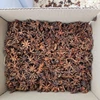 NEW CROP 2018 Star Anise grade A lowest price and good quality