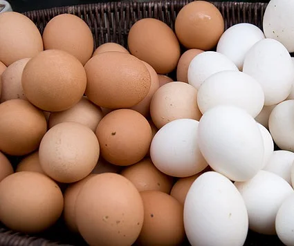 Farm Fresh Chicken Table Eggs Brown and White Shell Chicken Eggs