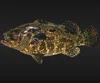 GROUPER WITH HIGH QUALITY AND COMPETITIVE PRICE