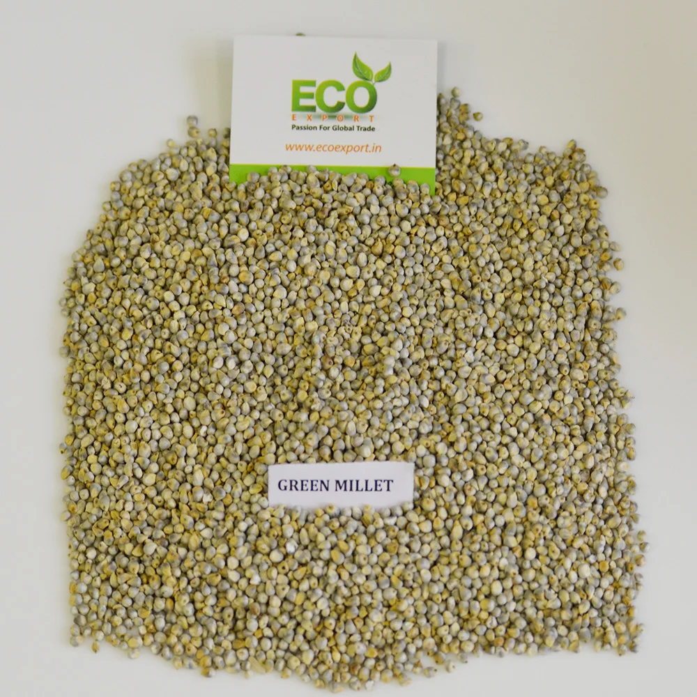 indian green millet/pearl millet crop 2018