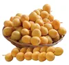 Barhi Dates- Yellow Dates Barhi fresh with best prices and discount