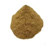 Precisely Processed 100% Fresh Chicory Extract Exporter