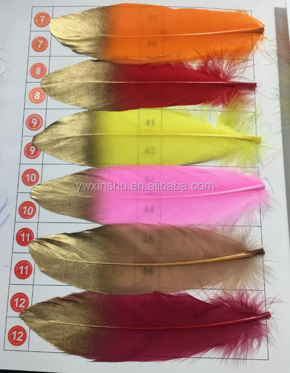 Gold Dipped feather (26).png