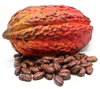 /product-detail/100-natural-organic-cocoa-seed-extract-cocoa-powder-in-bulk-50033231404.html