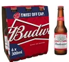 /product-detail/budweiser-beer-62000883895.html