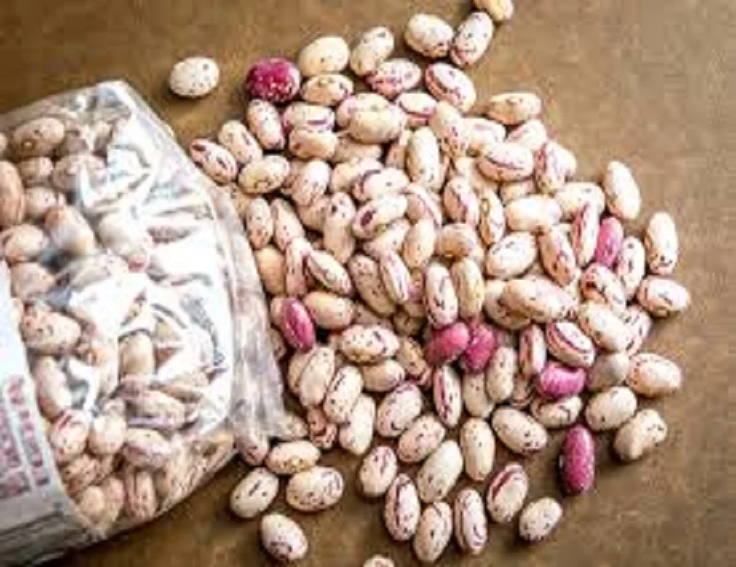 pinto bean light speckled kidney beans