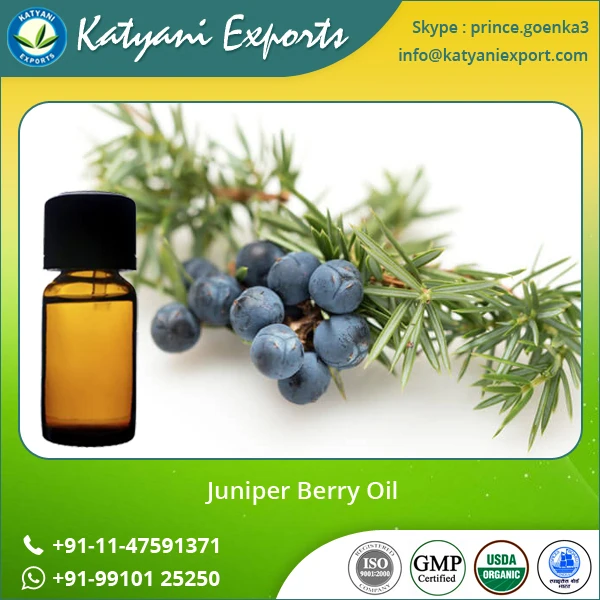 best quality of natural pure and organic bulk juniper berry oil