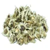 bulk moringa seeds buyers