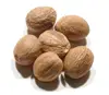 100% Pure Natural Spice Nutmeg Without Shell for Sale