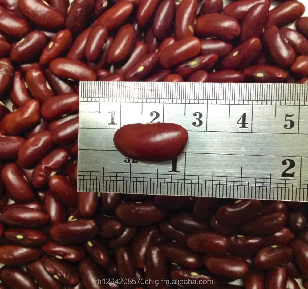 Red Kidney Beans good quality from Thailand