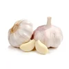 /product-detail/new-season-fresh-indian-garlic-for-export-certified-fresh-pure-white-garlic-50028416146.html