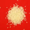 /product-detail/swarna-non-basmati-rice-50038089683.html