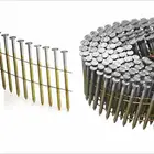 Zinc Plated HDG Roofing Nail Concrete Nail