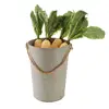 /product-detail/-g-g-concept-zinc-bucket-flower-and-garden-pots-50016512504.html