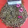 /product-detail/unwashed-robusta-coffee-beans-scr-13-high-quality-good-price-hoang-vilaconic-vn-50038376839.html