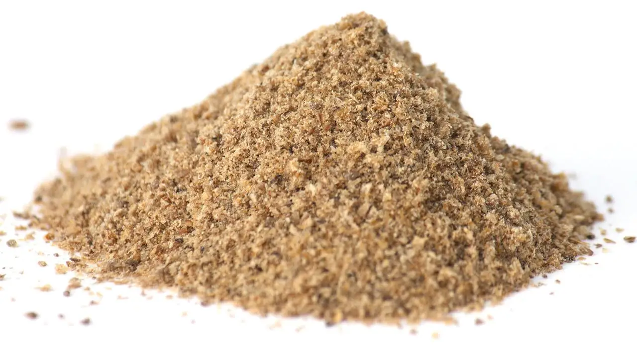 sn-buzzfoodheader_0.jpg
