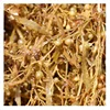 NhaTrang dried Sargassum Seaweed/ Ms Daisy Tran/ Whatsapp +84 917343549