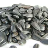 Factory Supplier Raw Sunflower Seeds 363 with Top Quality