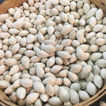 Ginkgo Nuts.jpg