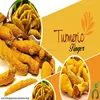 Price of Turmeric in India for Sale