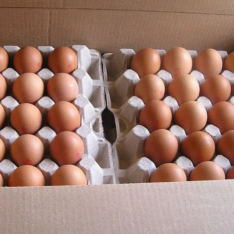 Big Fresh Farm Brown Table Chicken Eggs