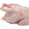 /product-detail/frozen-chicken-thighs-drumstick-frozen-leg-quarters-wings-gizzards-boneeles-skinless-chicken-fillets-62002023542.html