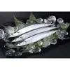 Japanese Frozen Seafood Pacific Saury 100-120g Fish For Export