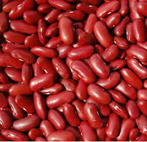 Top quality Red Kidney beans current year crop
