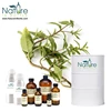 /product-detail/100-pure-bhringraj-herb-oil-eclipta-alba-hair-oil-natural-and-organic-herbal-ayurvedic-oils-wholesale-bulk-price-62005782061.html
