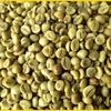 /product-detail/high-quality-robusta-coffee-bean-viber-whatsapp-84765149122-50018219156.html