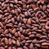 /product-detail/pure-natural-cocoa-organic-cocoa-beans-50040683237.html