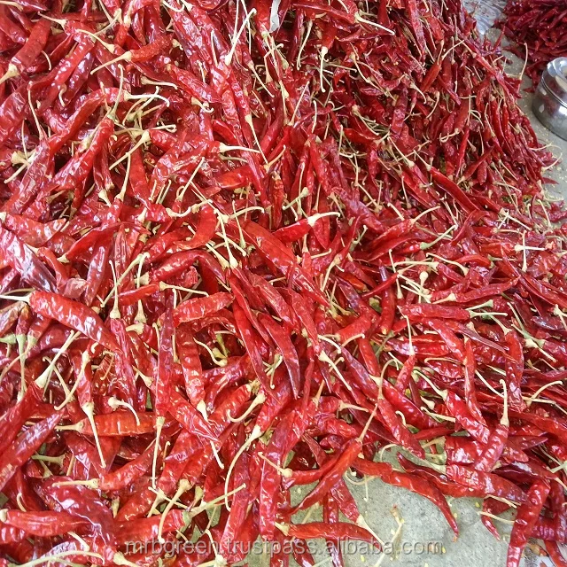 india spicy chili pepper