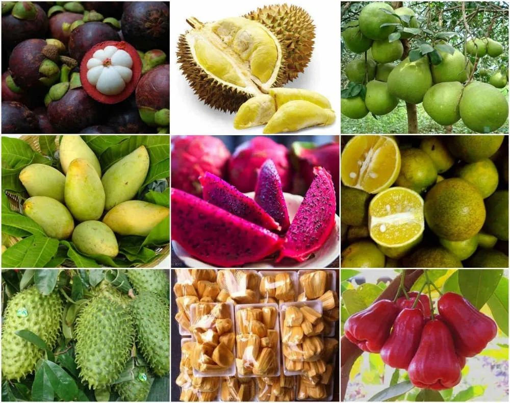 Перечисление зеленых фруктов