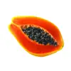 /product-detail/red-lady-papaya-seeds-pawpaw-seeds-good-for-health-62006602401.html