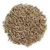 /product-detail/brazil-cumin-seeds-99-pure-cumin-seeds-50045612518.html