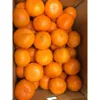 100% Natural Sweet Taste Bulk Oranges with Best Price