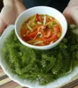 /product-detail/sea-grape-seaweed-best-seller-in-vietnam-50038853210.html