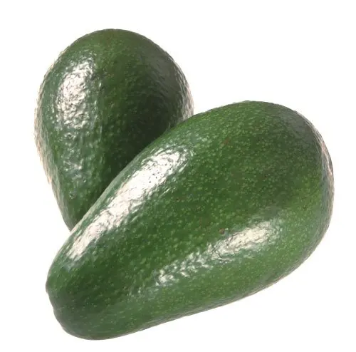 Avocado - Ettinger 3.jpg