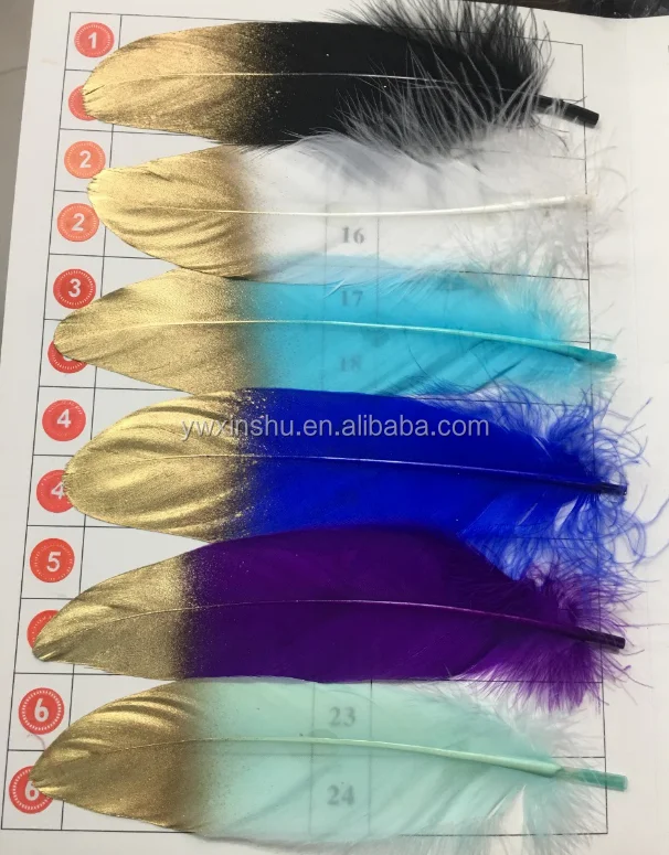 Gold Dipped feather (25).png