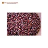 Super Fine Quality Nutritious Bulk Red Maize Corn at Competitive Price