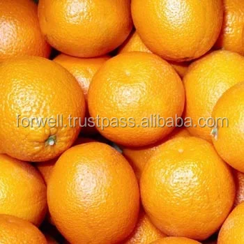 جديد المحاصيل الطازجة لذيذ صغيرة البرتقال