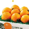 /product-detail/sweet-fresh-orange-naval-orange-valencia-oranges-62000770911.html