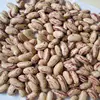 Kebarika bush dry sweat tasty beans, pinto beans, red beans/ scarlet runner beans with High Nutritional Value