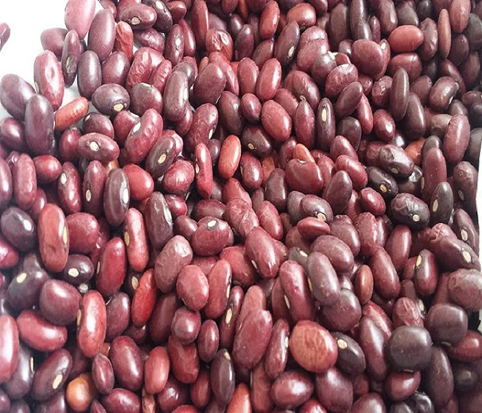 Red Kidney beans