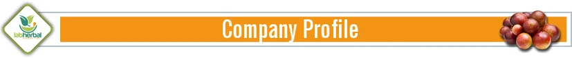 Company Profile.jpg